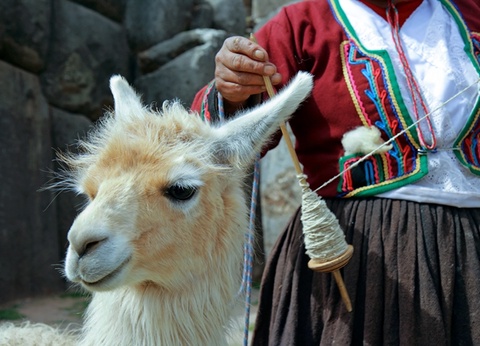 Douceurs au Pays des Incas - 3