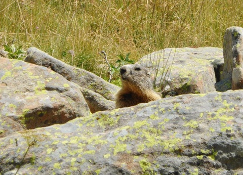 Camping Lou Gourdan, 3* - 9