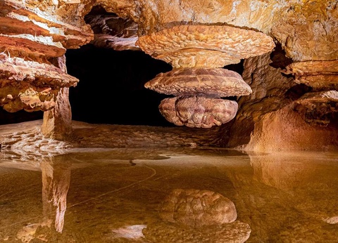 Vacances à Marseilles avec visite de la Grotte Cosquer - 4* - 12