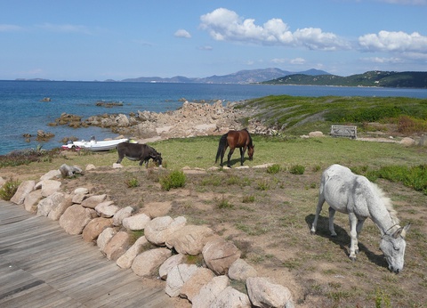 Corsica Tradizioni en demi-pension ( sans transport ) - 4