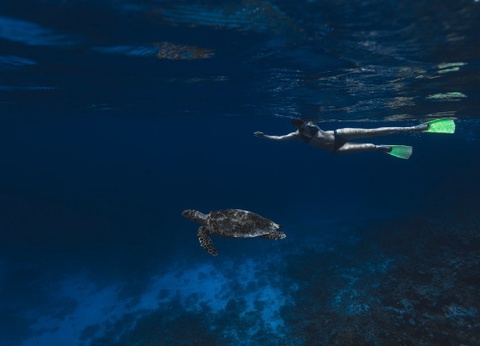 Hôtel Cinnamon Dhonveli Maldives 4* - 28