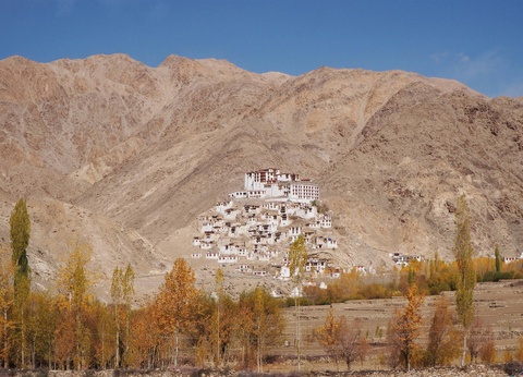 Circuit Voyage au pays Ladakhi : du tumulte de Delhi au silence des hauts plateaux **** - 4
