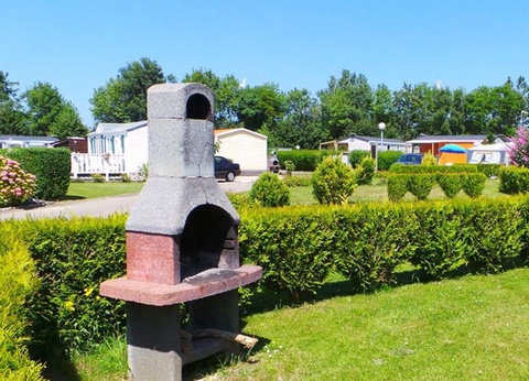 Flower Camping Vitamin, 4* - 40