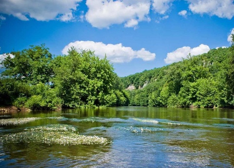 Flower Camping La Sagne 3* - 48