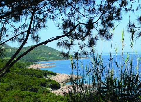 Camping Via Romana, 3* - 36