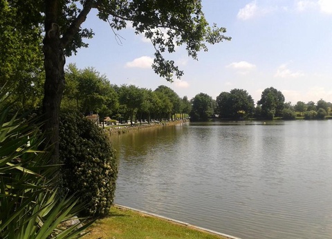 Camping OAKi, 3* - 16