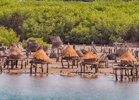 Circuit Beautés du Sénégal et Extension Framissima Palm Beach - 4