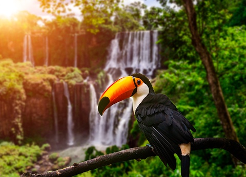 Circuit Buenos Aires & Puerto Iguazú - 15