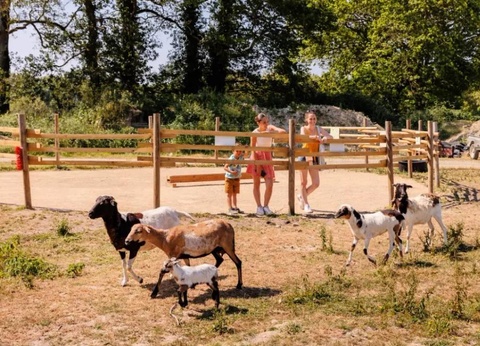 Camping maeva Escapades le Bois Joli, 4* - 14