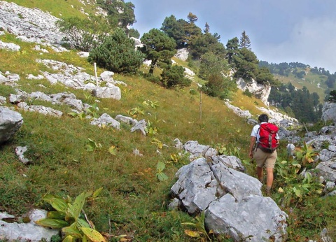 Camping Sous Doriat, 3* - 27