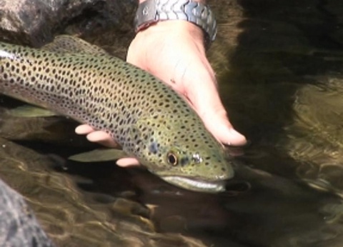 Camping Le Rey, 3* - 22