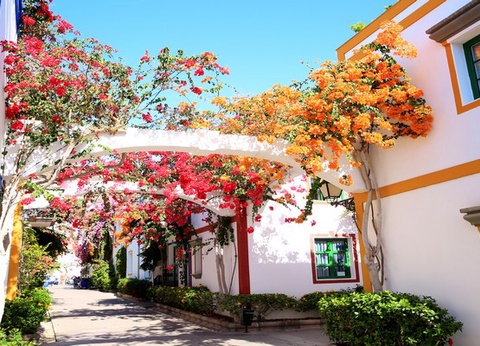 Hôtel Cordial Mogan Playa 4* - 13