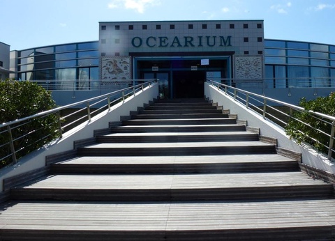 Camping L'Etang du Pays Blanc, 4* - 51