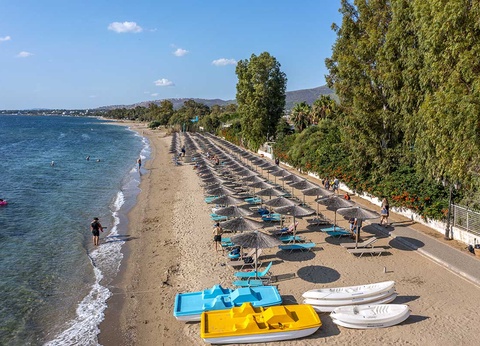 Club Marmara Golden Coast 4* - 10