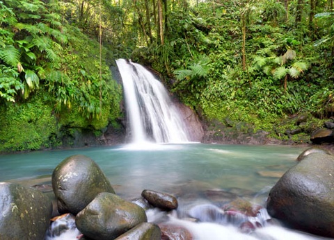 Circuit Perles de Guadeloupe et plage du Framissima Evasion Arawak Beach Resort **** - 9