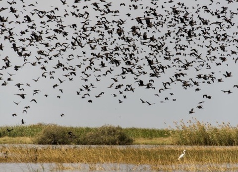 Circuit Mythes & charmes du Sénégal en privatif *** - 11
