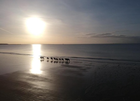 Camping La Roseraie, 4* - 39