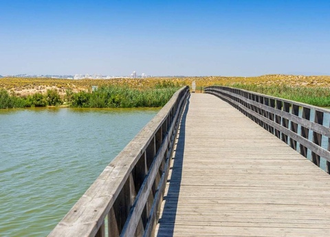 Hôtel Wine & Books by The Sea 5* - 19