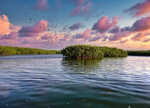 Circuit Sénégal intime et coloré du nord au sud *** - 22