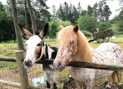 Camping Aux Portes Des Mille Sources, 3* - 12