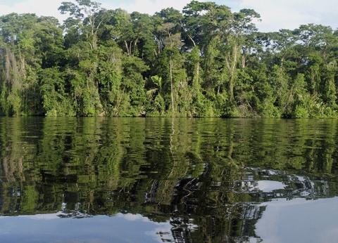 Circuit Merveilles du Costa Rica du Nord au Sud - 4