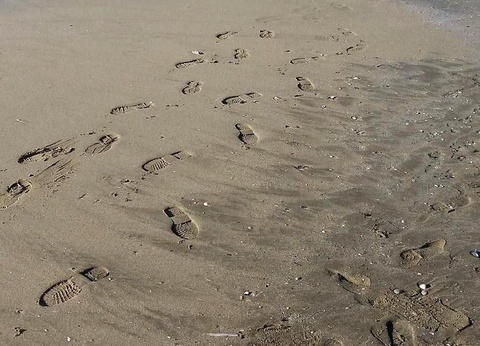 Domaine de la Palme, 3* - 39