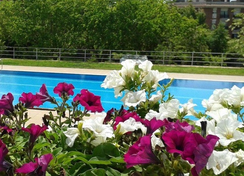 Camping Lloret Blau, 3* - 62