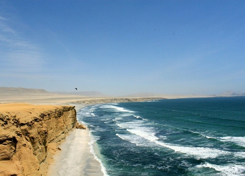 Délices des Andes - 3