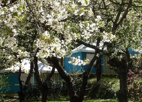 Camping Les Cerisiers, 2* - 11