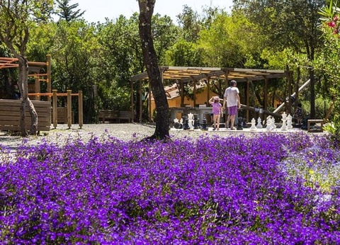 hu Montescudaio village, 3* - 62