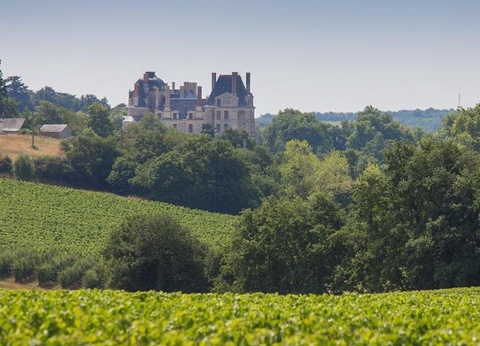 Camping Sites et Paysages - L'Etang de Brissac, 4* - 34