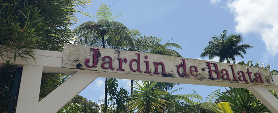 Autotour Martinique - 9