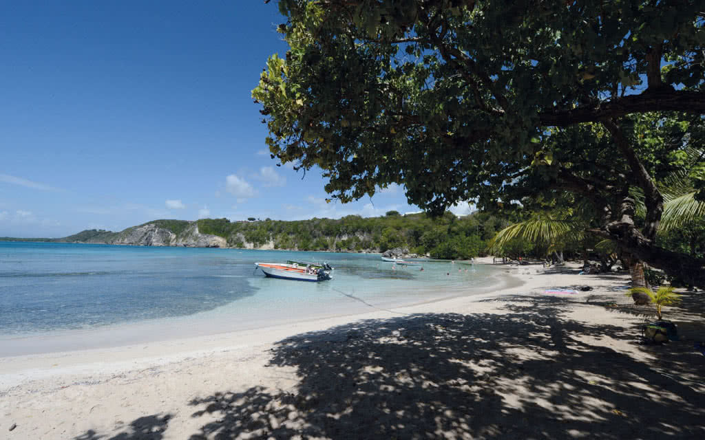 Hôtel Petit Havre 2* - 15