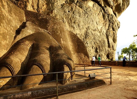 Circuit Découverte du Sri Lanka - 7