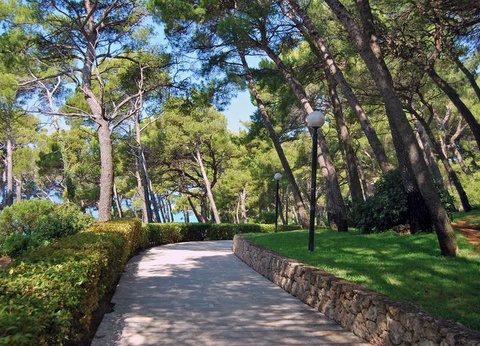 Hôtel BlueSun hôtel Marina 3* - 17