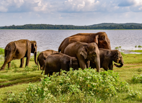 Circuit Sri Lanka Insolite - 16