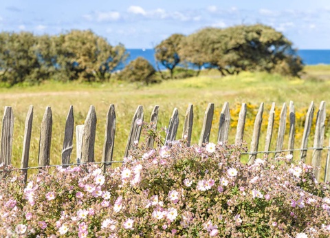 Résidence Lagrange L'Estran 3* - 8