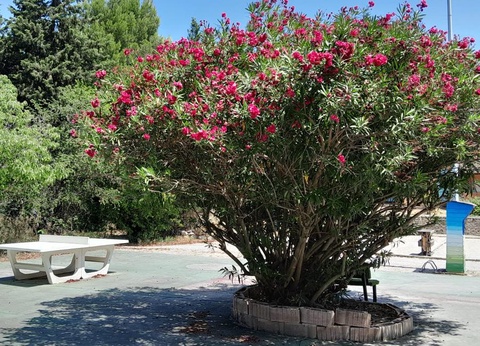 Camping Fontisson, 3* - 10