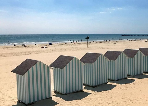 Camping L'Abri des Pins, 4* - 81