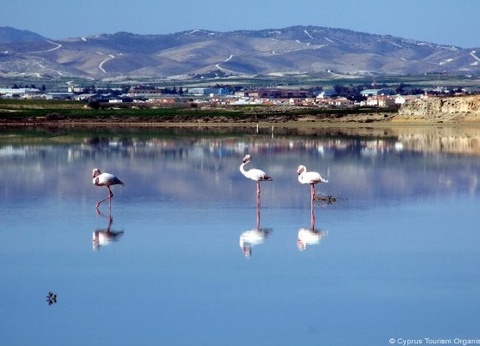 Circuit Trésors de Chypre 3* - 10