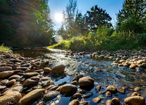 Camping Le Bontemps - Ciela Village, 4* - 84