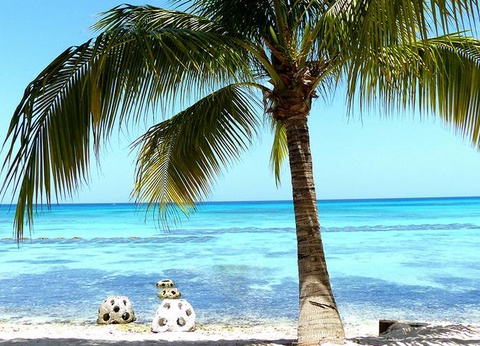 Combiné Novus Plaza Hodelpa 3* et Ôclub Zen HM Alma de Bayahibe Adult Only 4* - 8