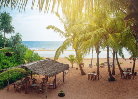 Circuit Sri Lanka Signature : Nature, Culture et Luxe - 14