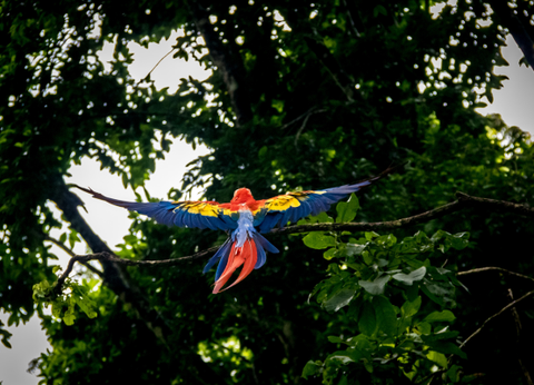 Circuit Chemins Sacrés du Guatemala et du Pacifique - 5