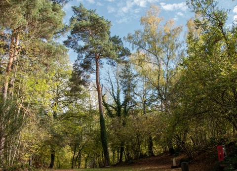 Camping du Lac d'Aydat, 3* - 27