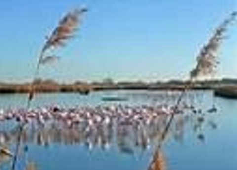 Camping Les Sources, 3* - 45