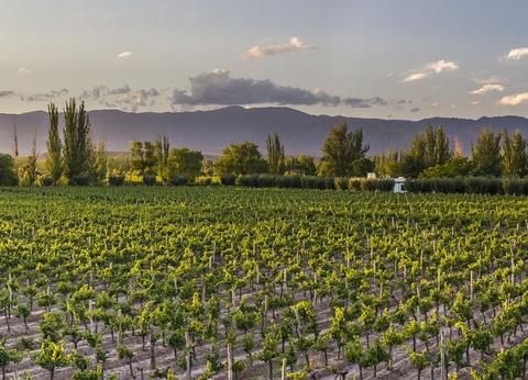 Circuit Rencontres argentines - 11