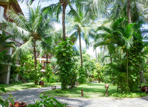 Circuit De la Baie d'Halong aux plages de Phan Thiet 3* - 27