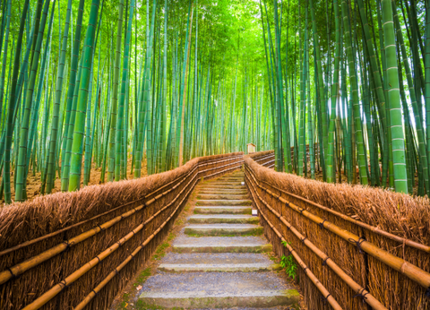 Circuit Capitales Nippones en Liberté, de Kyoto à Tokyo 3* et Ryokan - 20