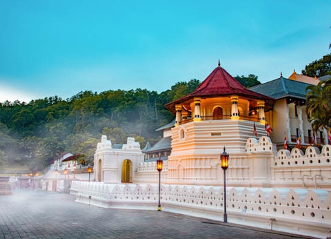 Combiné circuit et hôtel Club Jumbo Amethyst 4* - 12